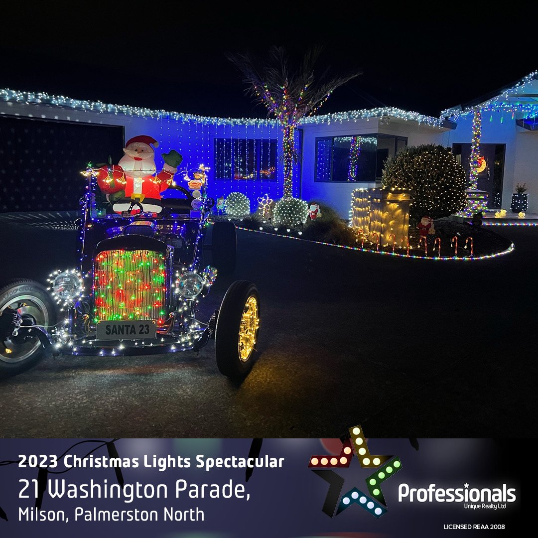 Professionals Christmas Lights 2023